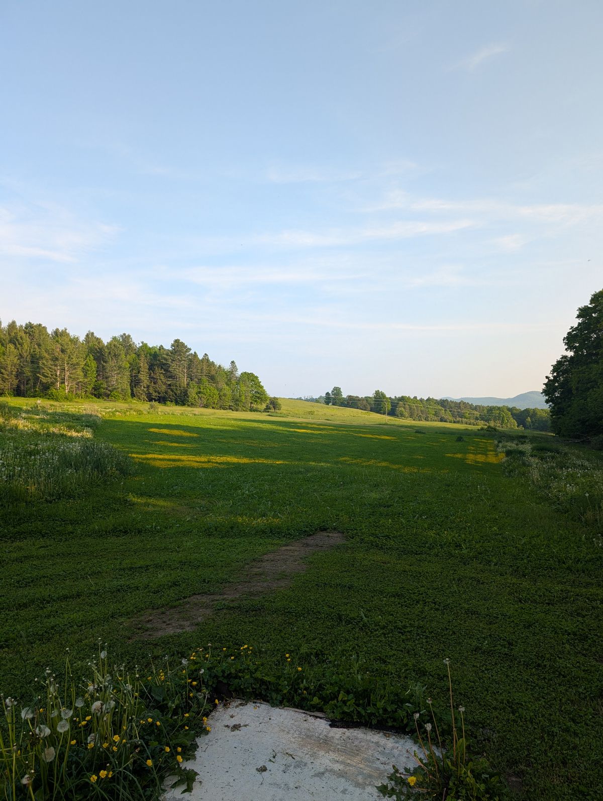 Hole 11