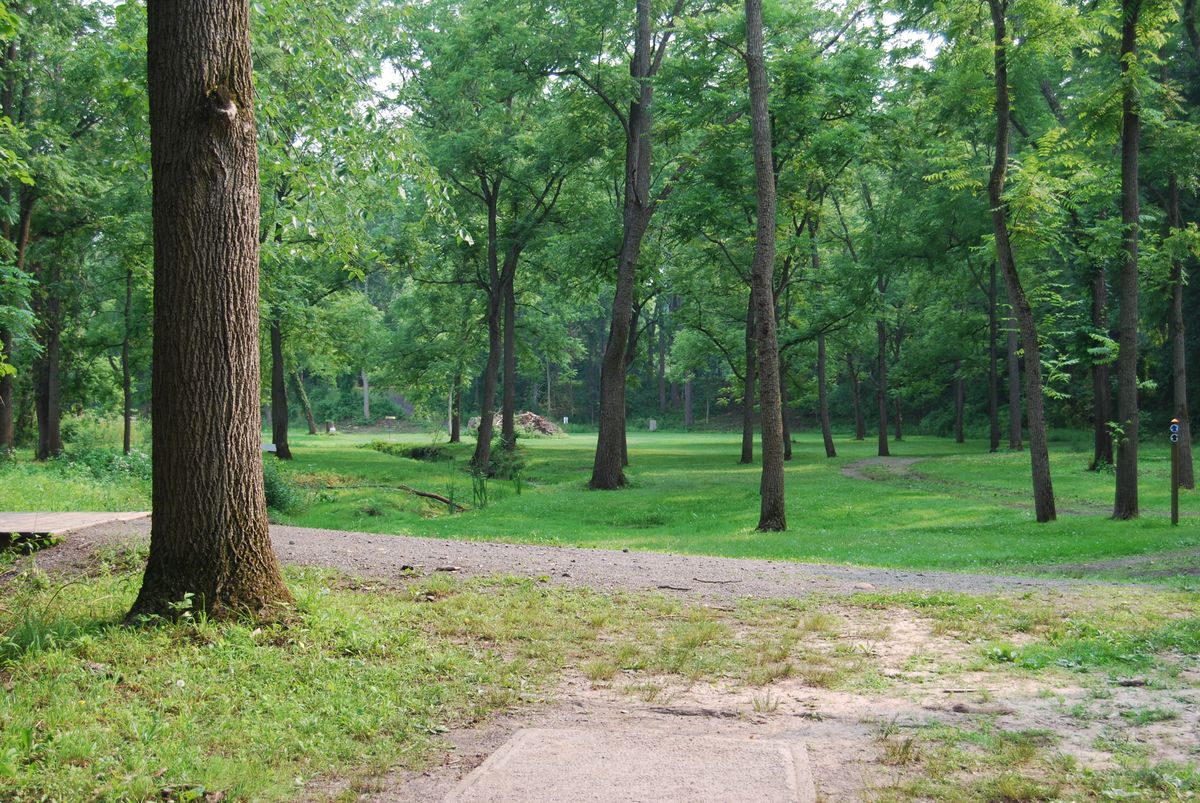 Hole 15 Short tee pad position