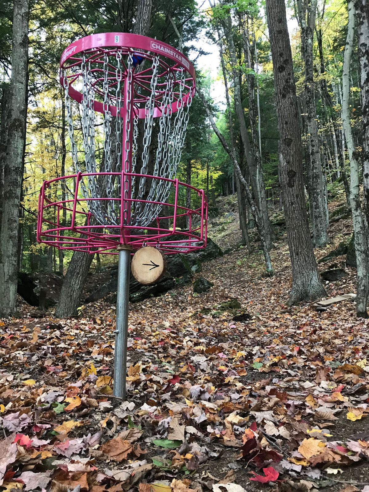 Hole 9’s basket.
