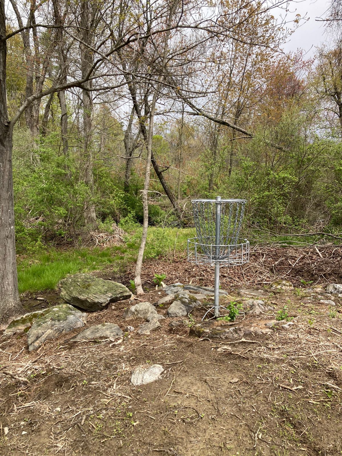 Hole 1 basket