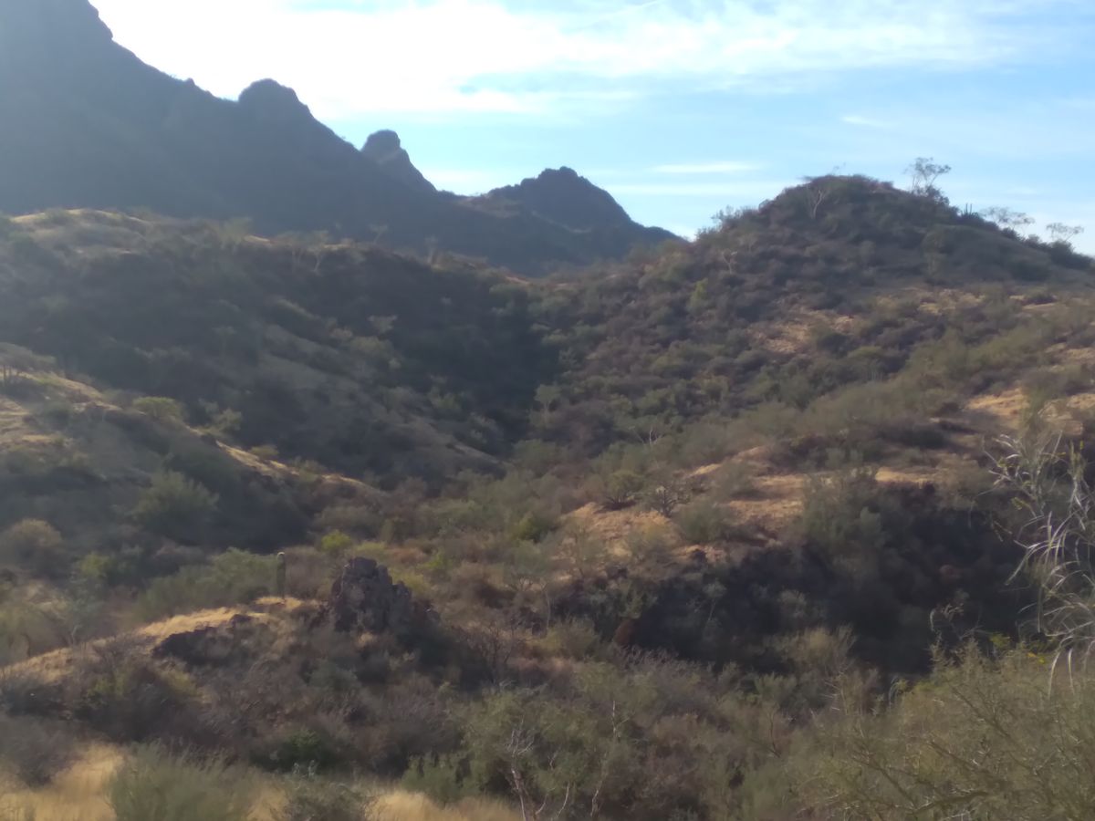 View up into the course