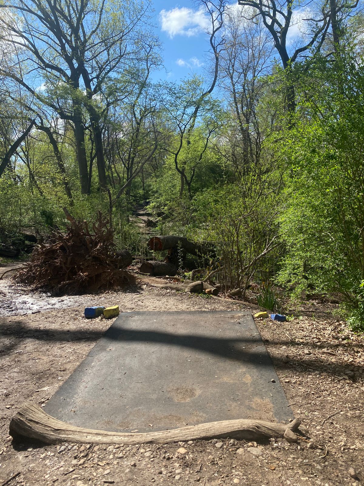 Hole 14 Blue