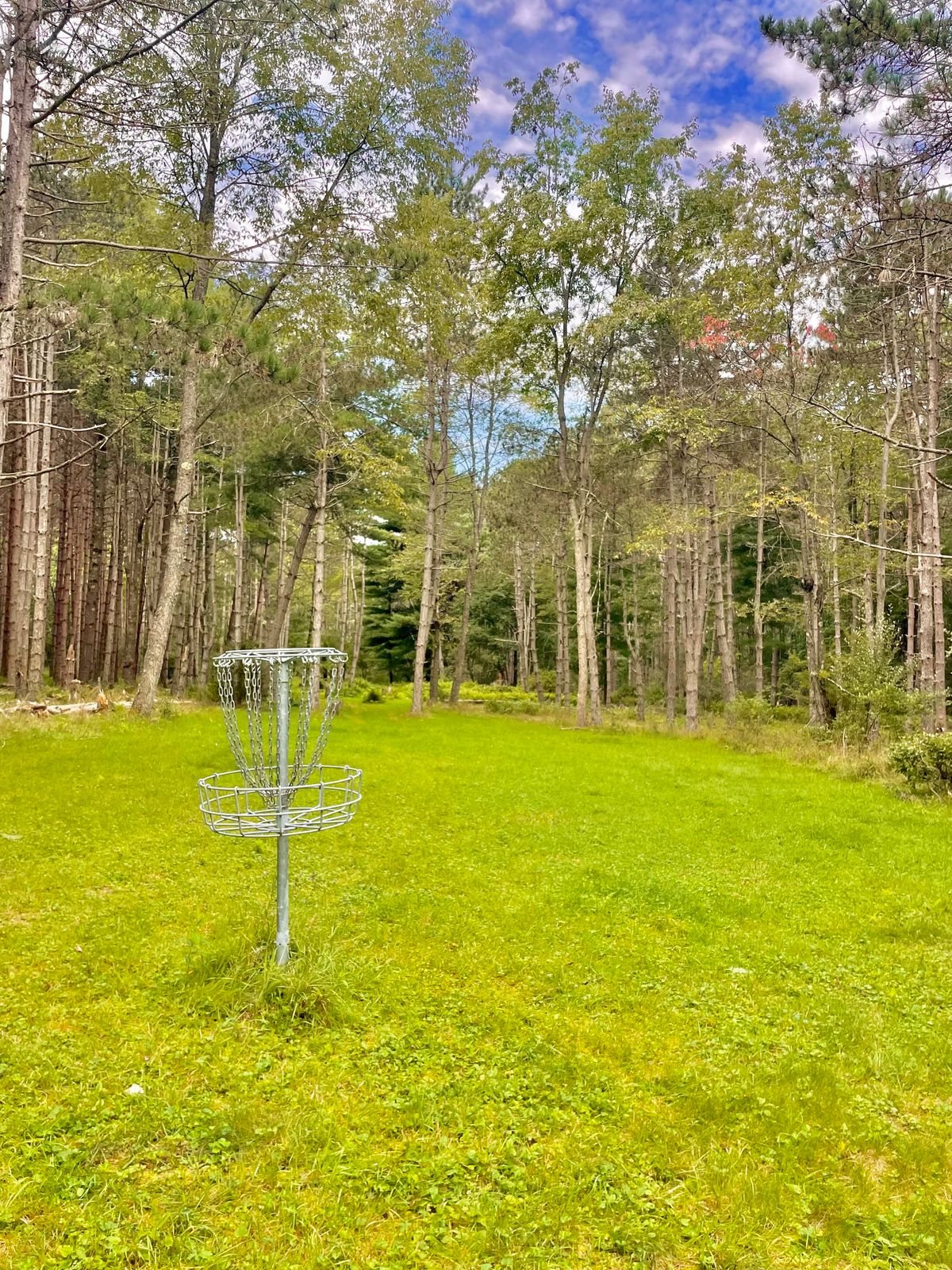 Hole 5 green looking back down fairway