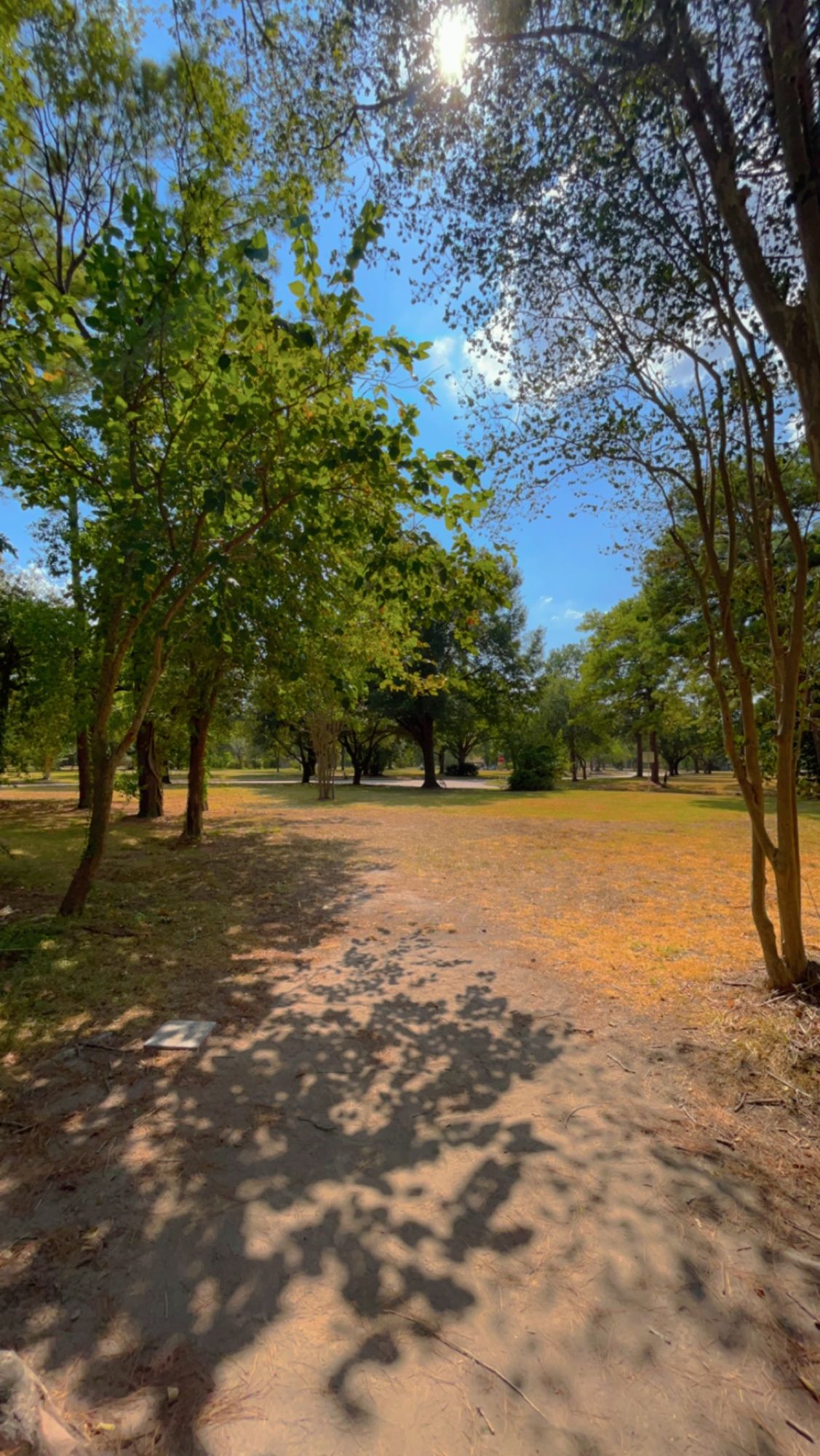 Hole 3 Short Tee