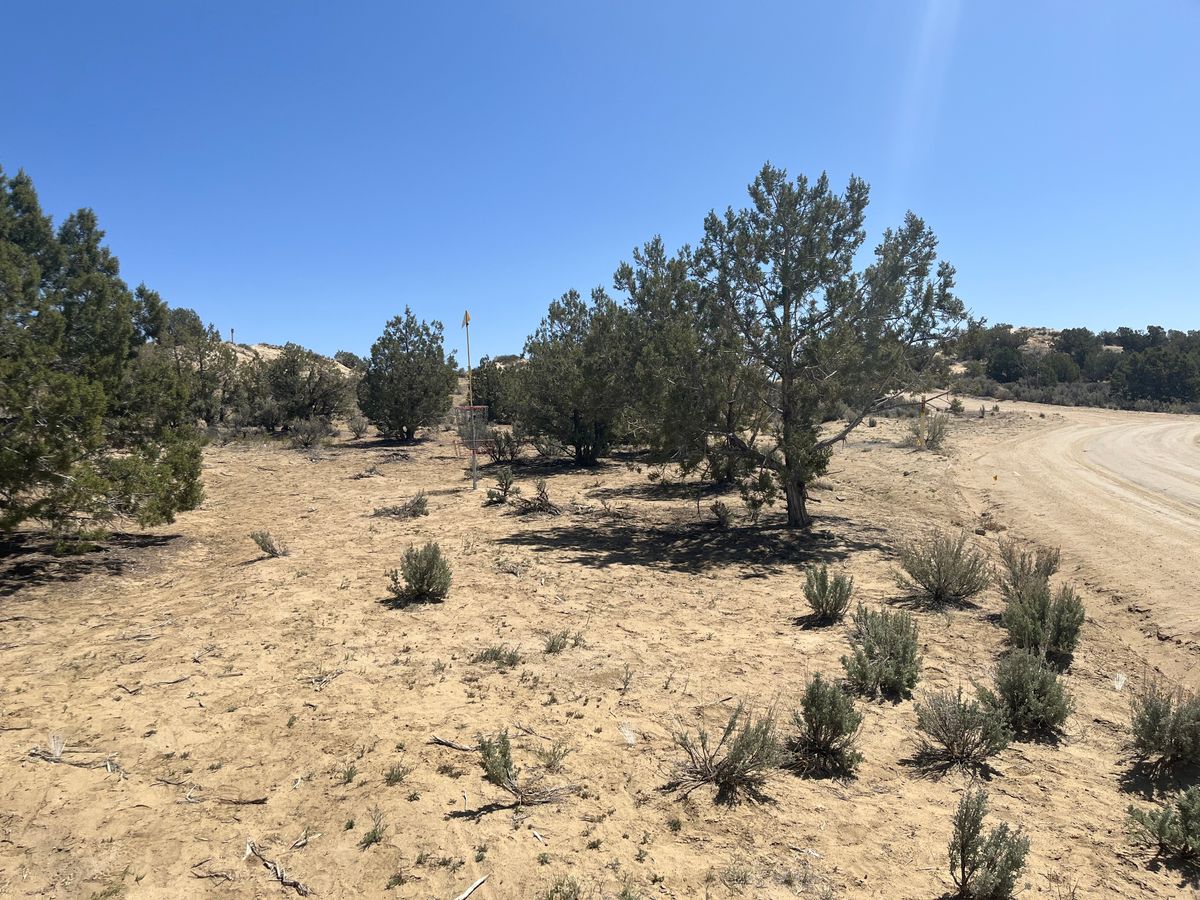 Hole 1 green