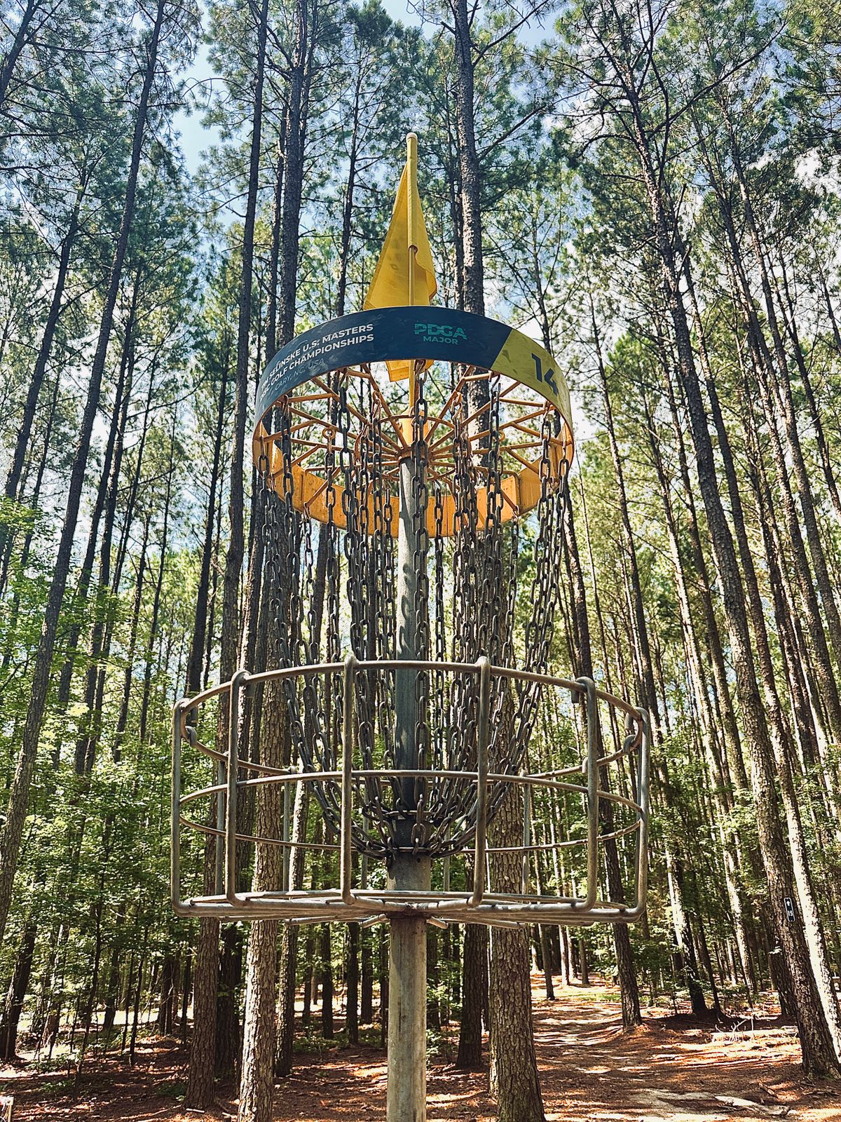 Elevated basket, hole 14.