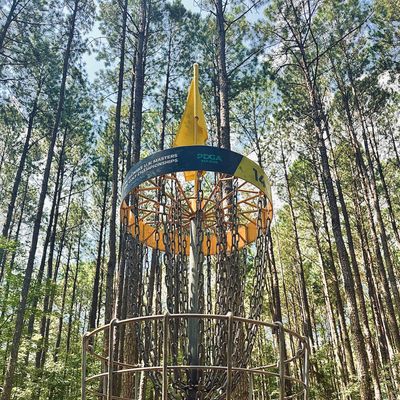Elevated basket, hole 14.