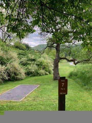 Tee 7