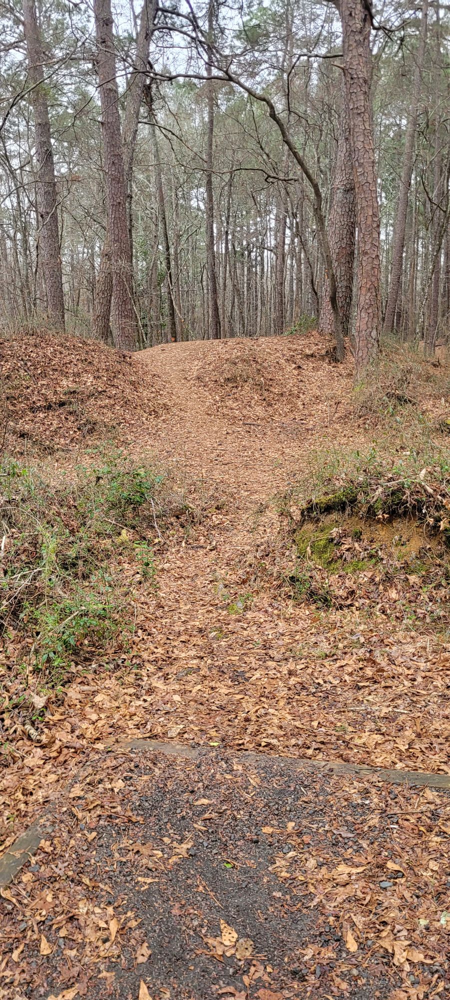 Orange Tee, Hole 7
