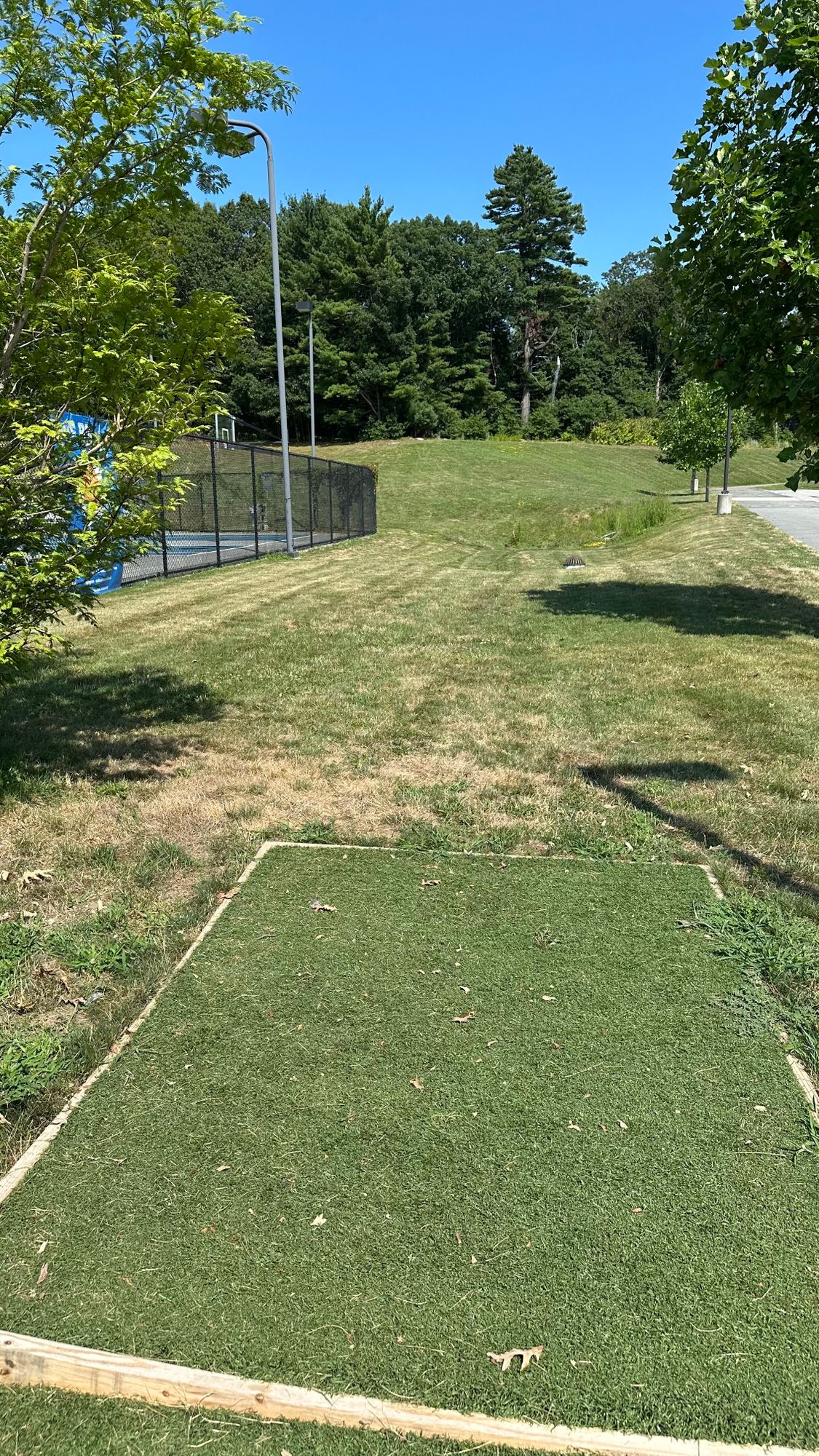 Hole 6 Tee