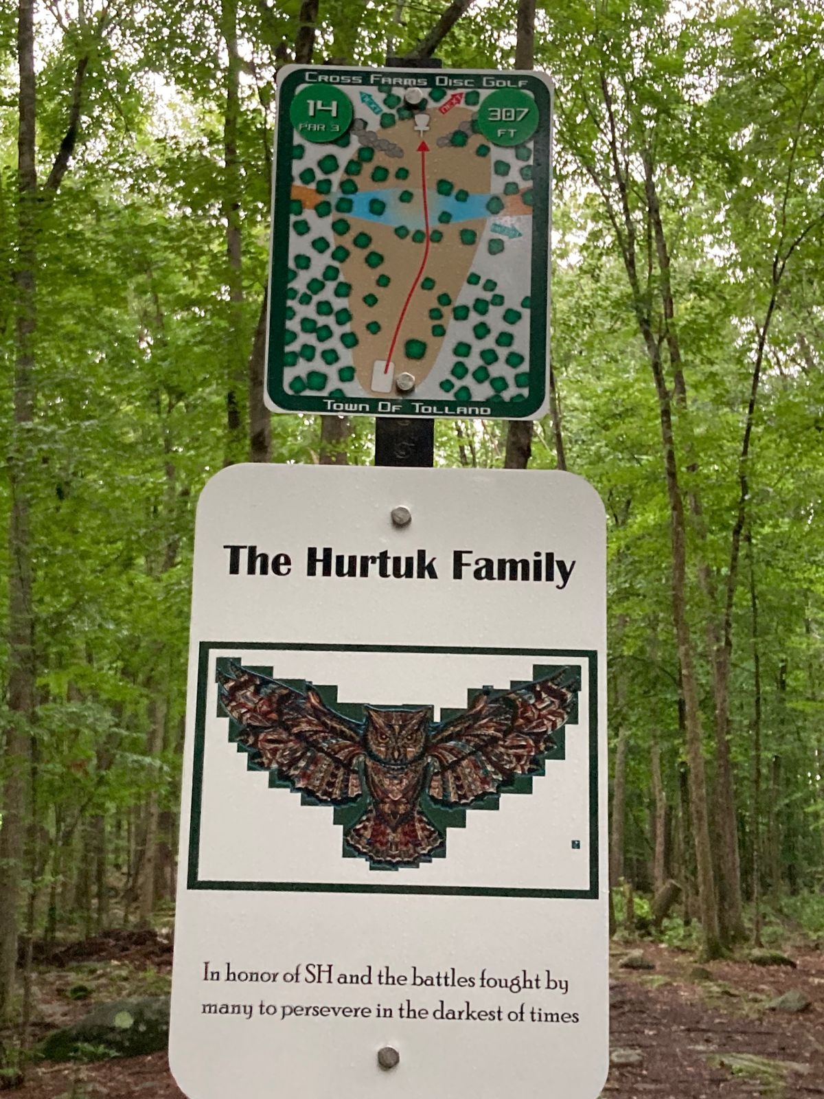 Hole 14. Owls 🦉 have been known to nest on this hole.