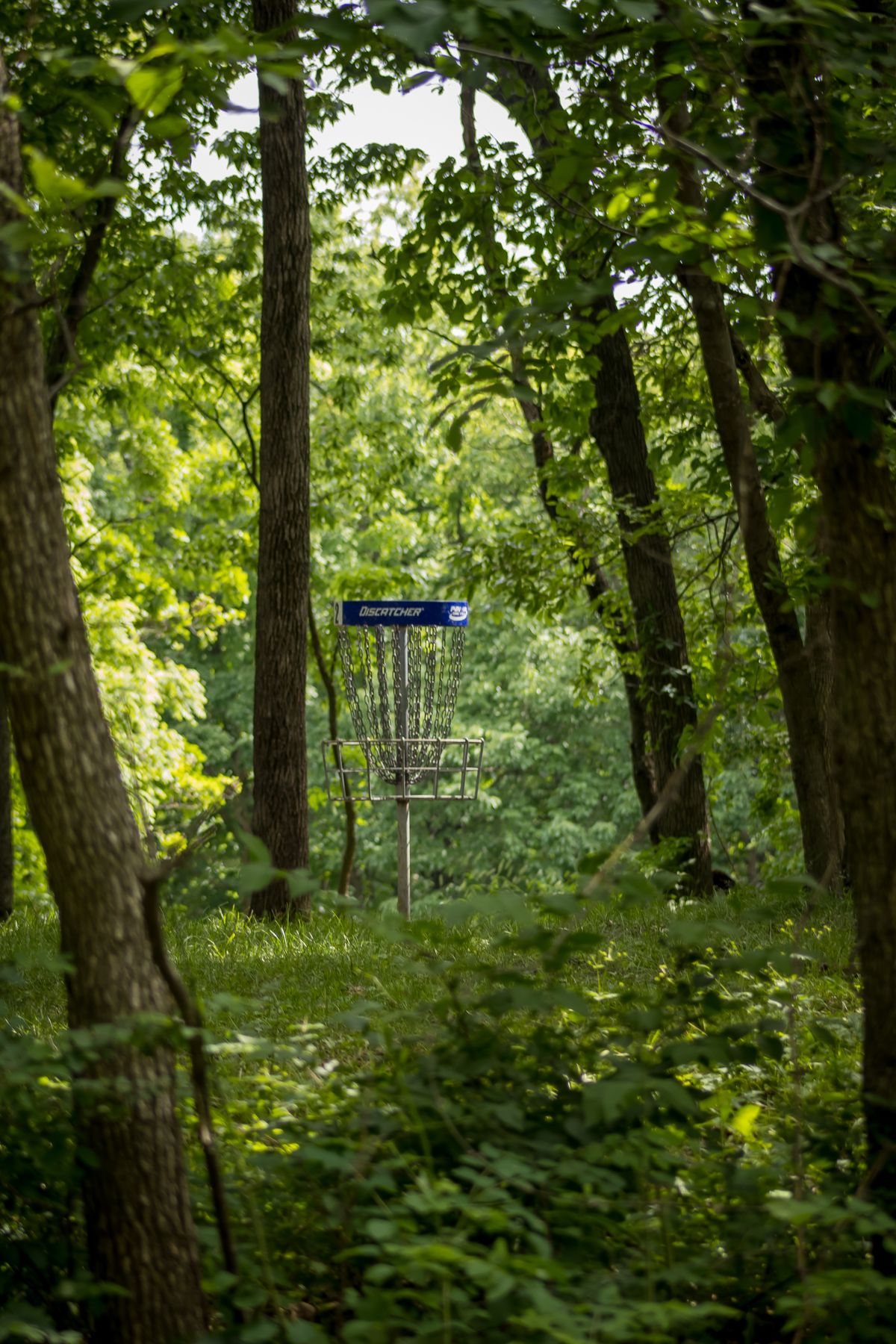 Hole 2