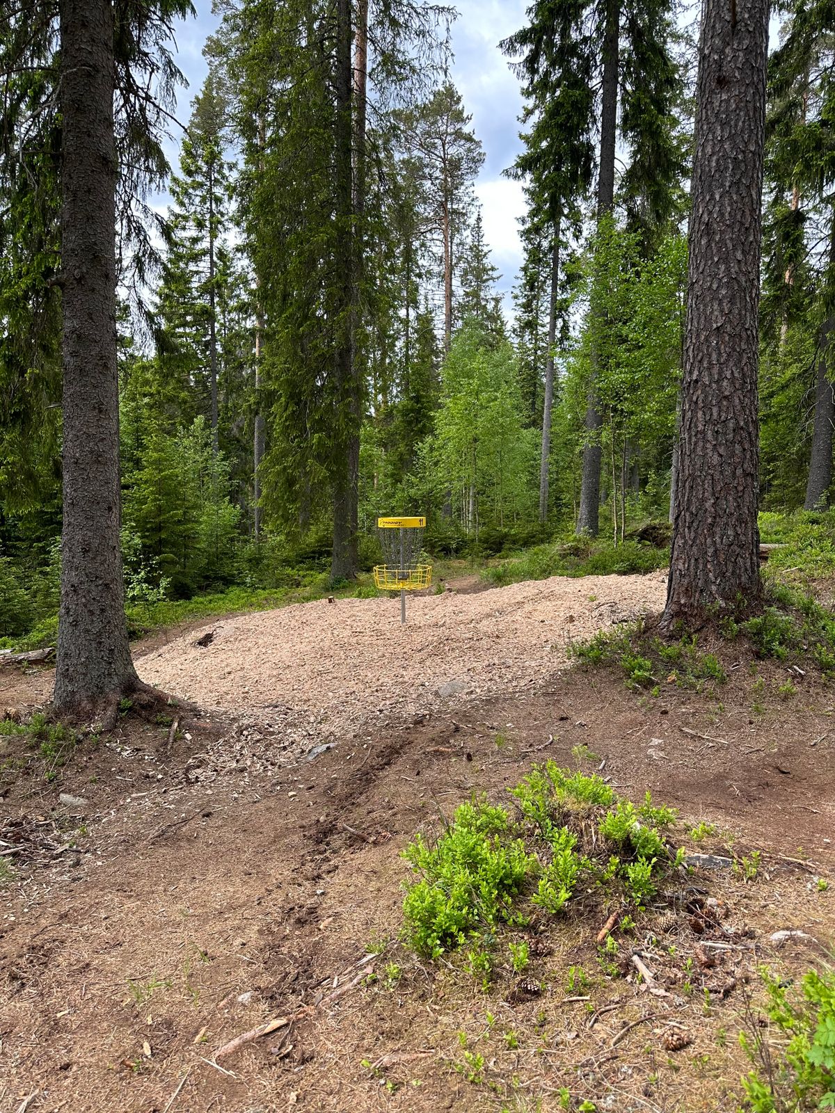 Hål 11