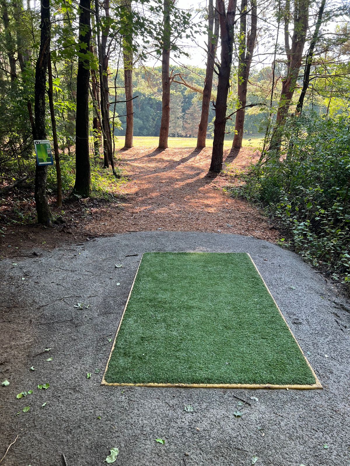 Hole 12 Tee