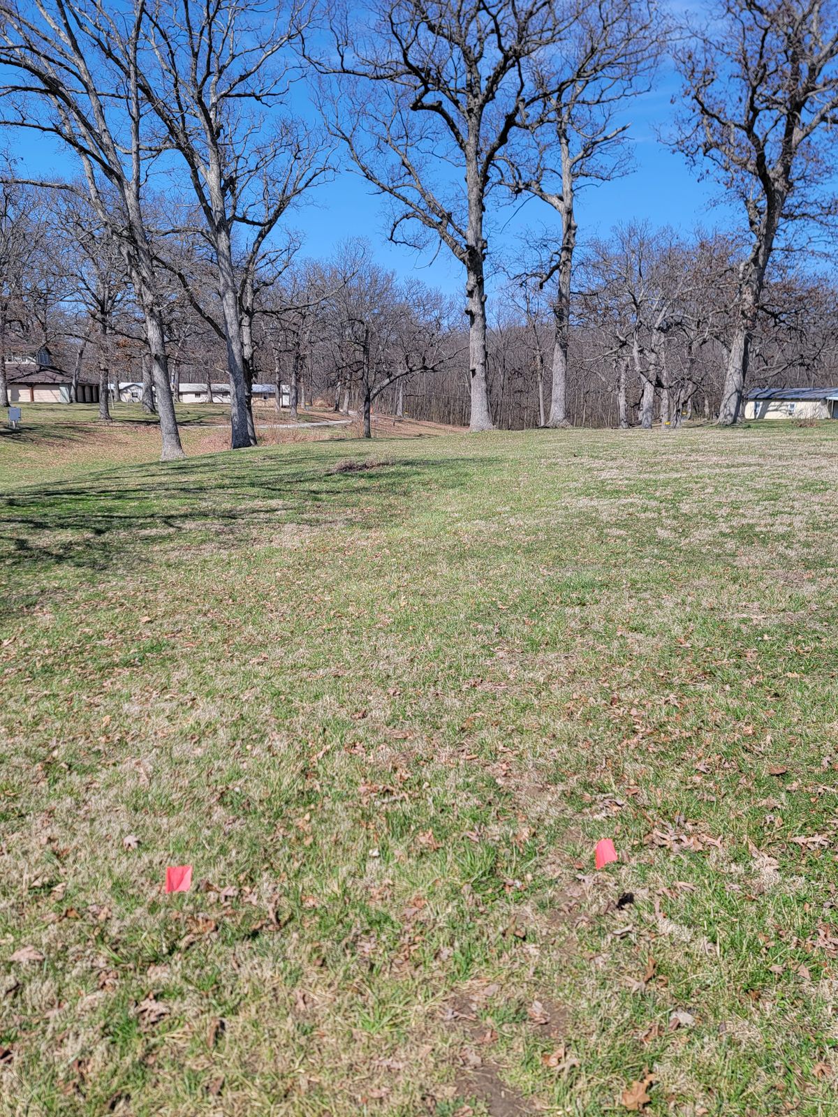 Hole 3 Tee