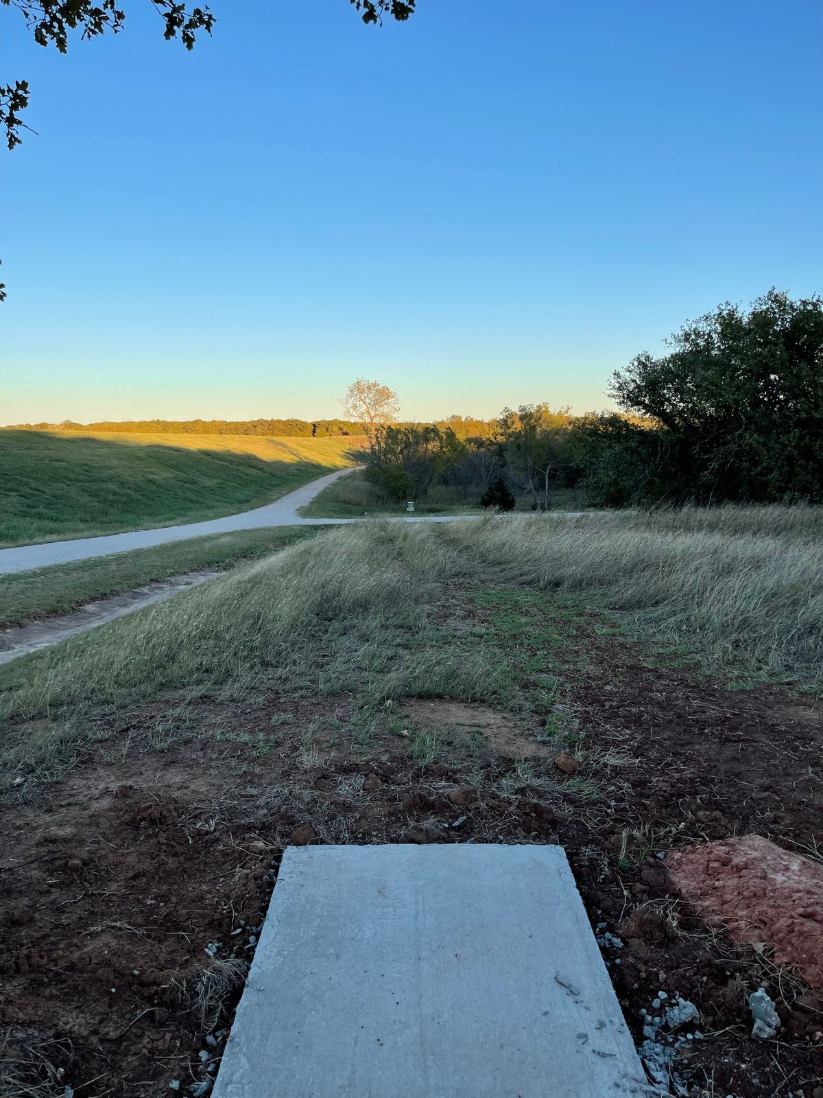Hole 6: short tee pad “Island Hole” or long tee Drop Zone.
