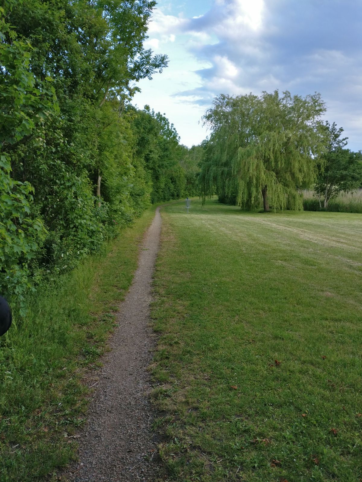 Hole 7