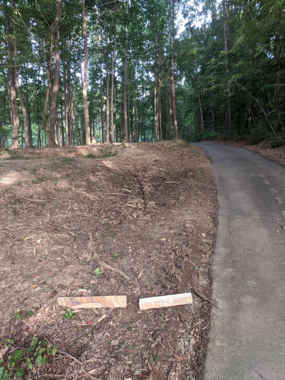 #6 take the driveway and finish left for your ace if you dare but land on asphalt and you'll be walking it back.