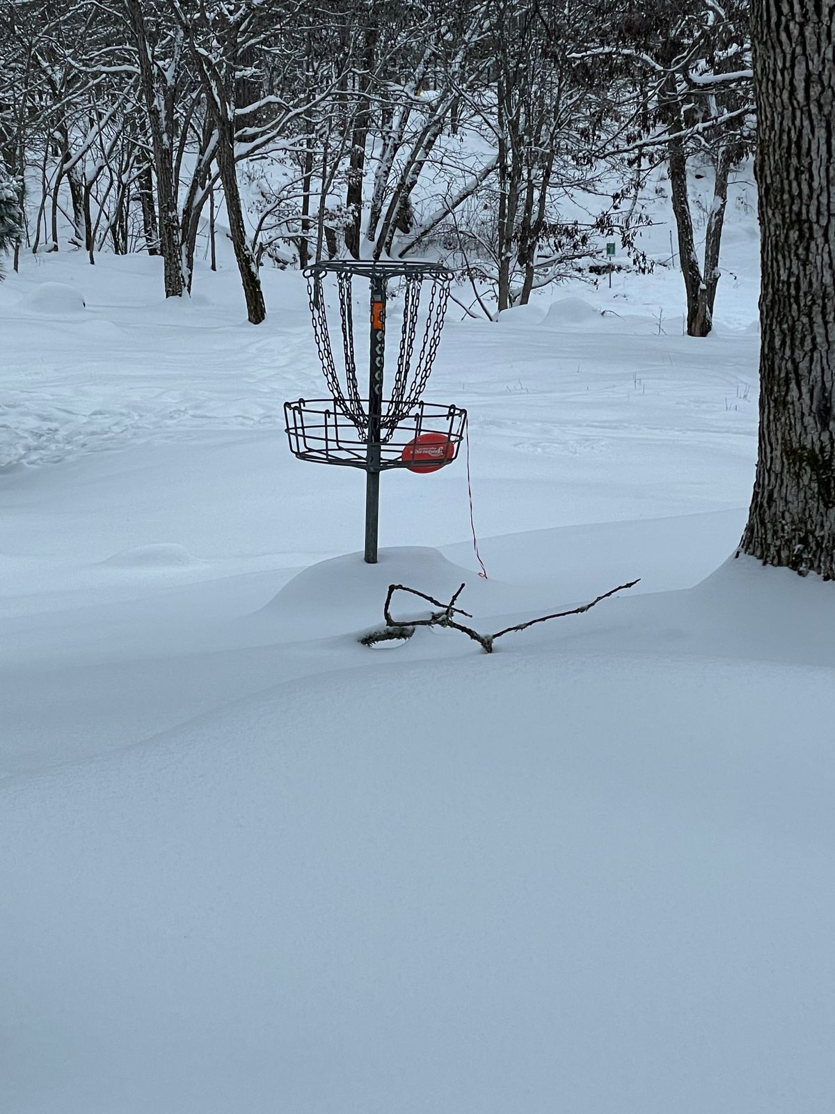 Basket 6. Ribbon in disc for snow.