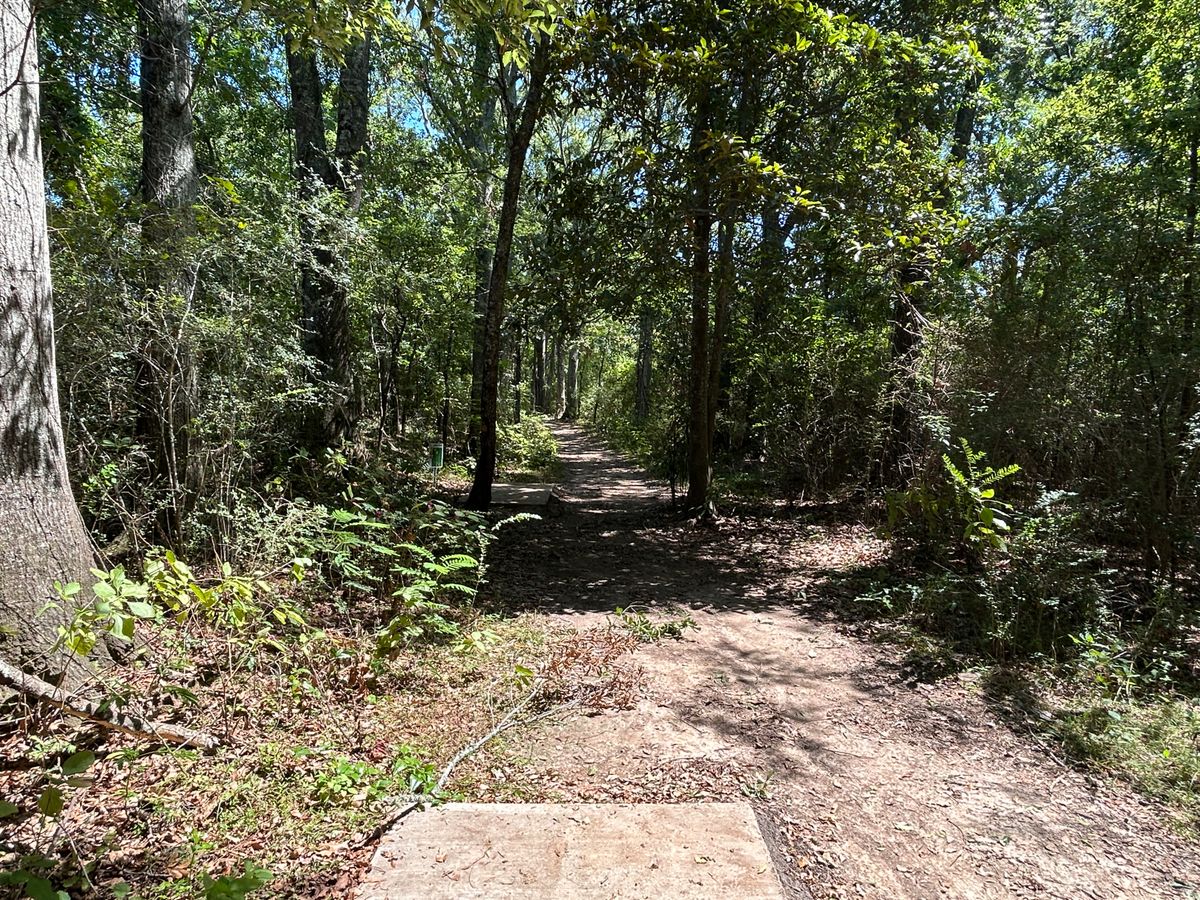Hole 5 Fairway (White)