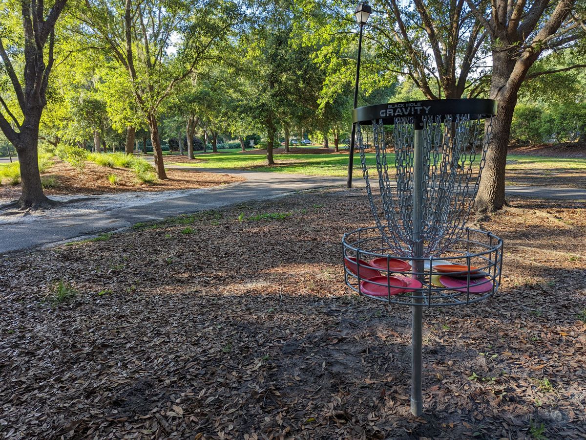 "Playground Area" Basket (Holes 3 and 7 Target)