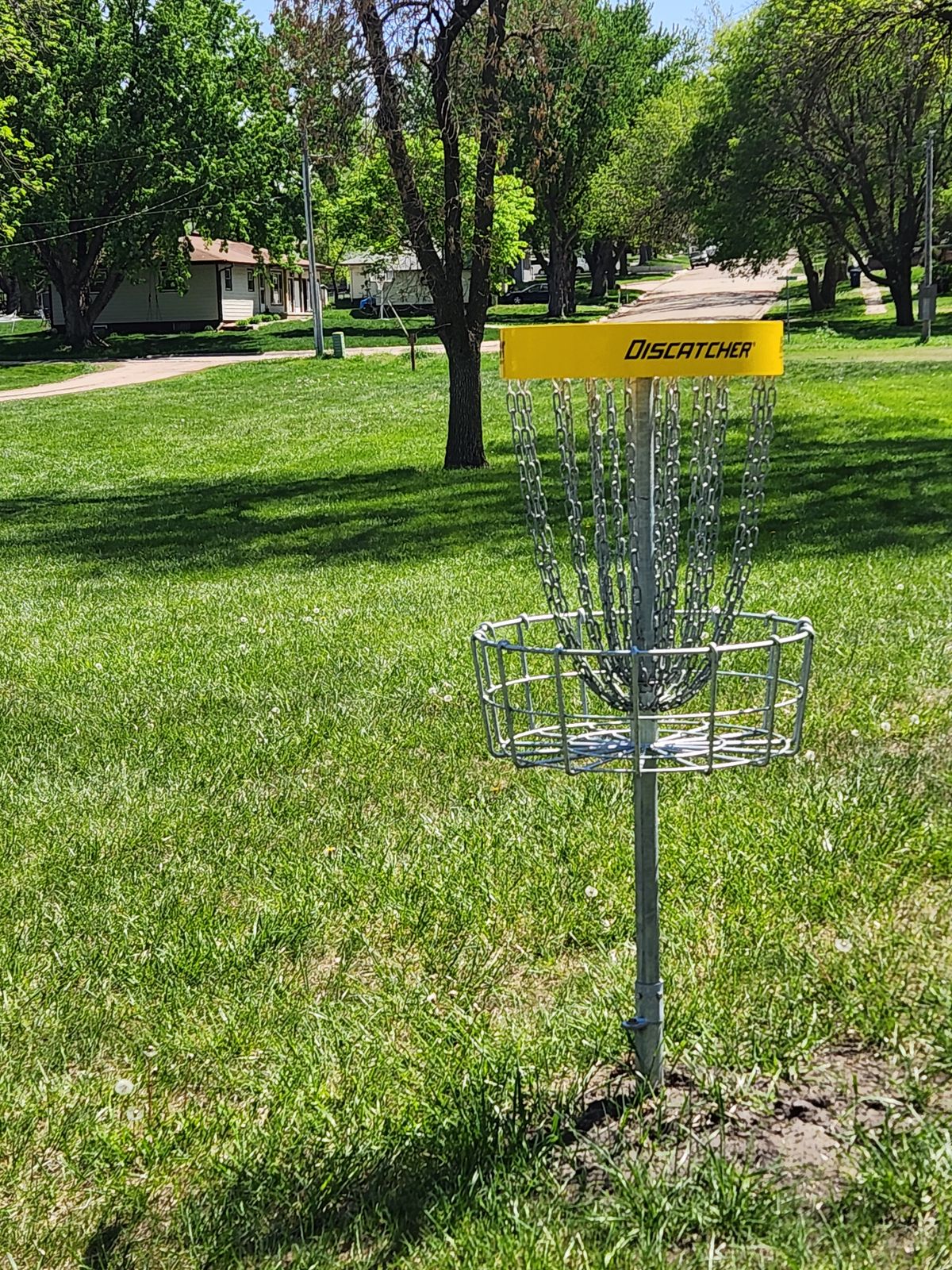 Hole 5 Basket