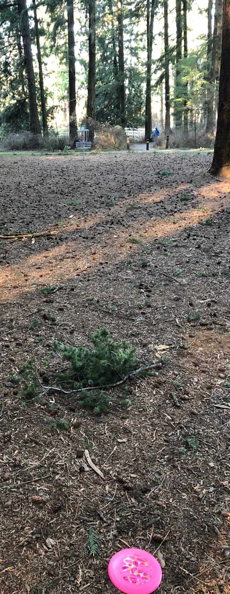 Hole 1