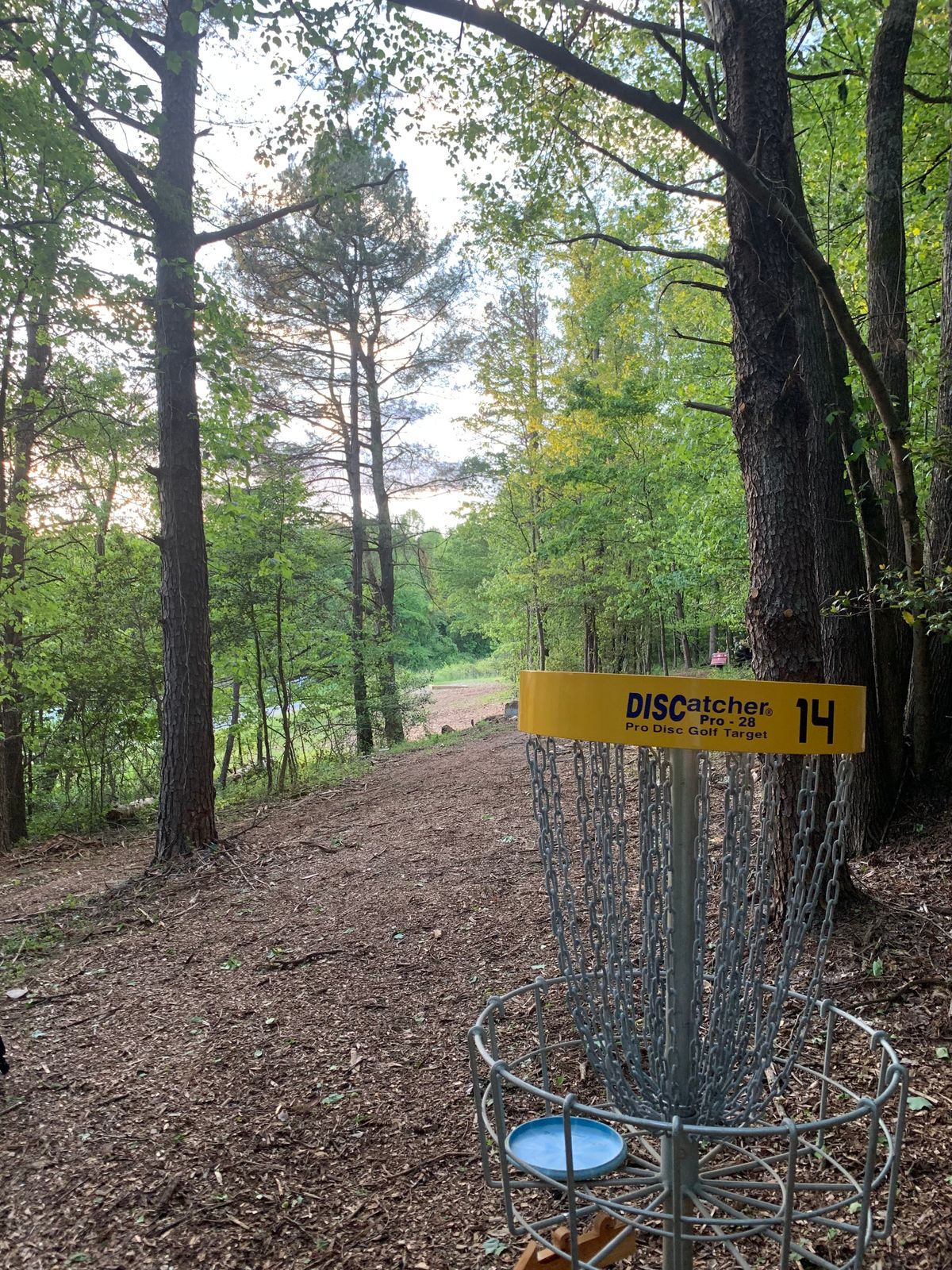Basket Hole #14