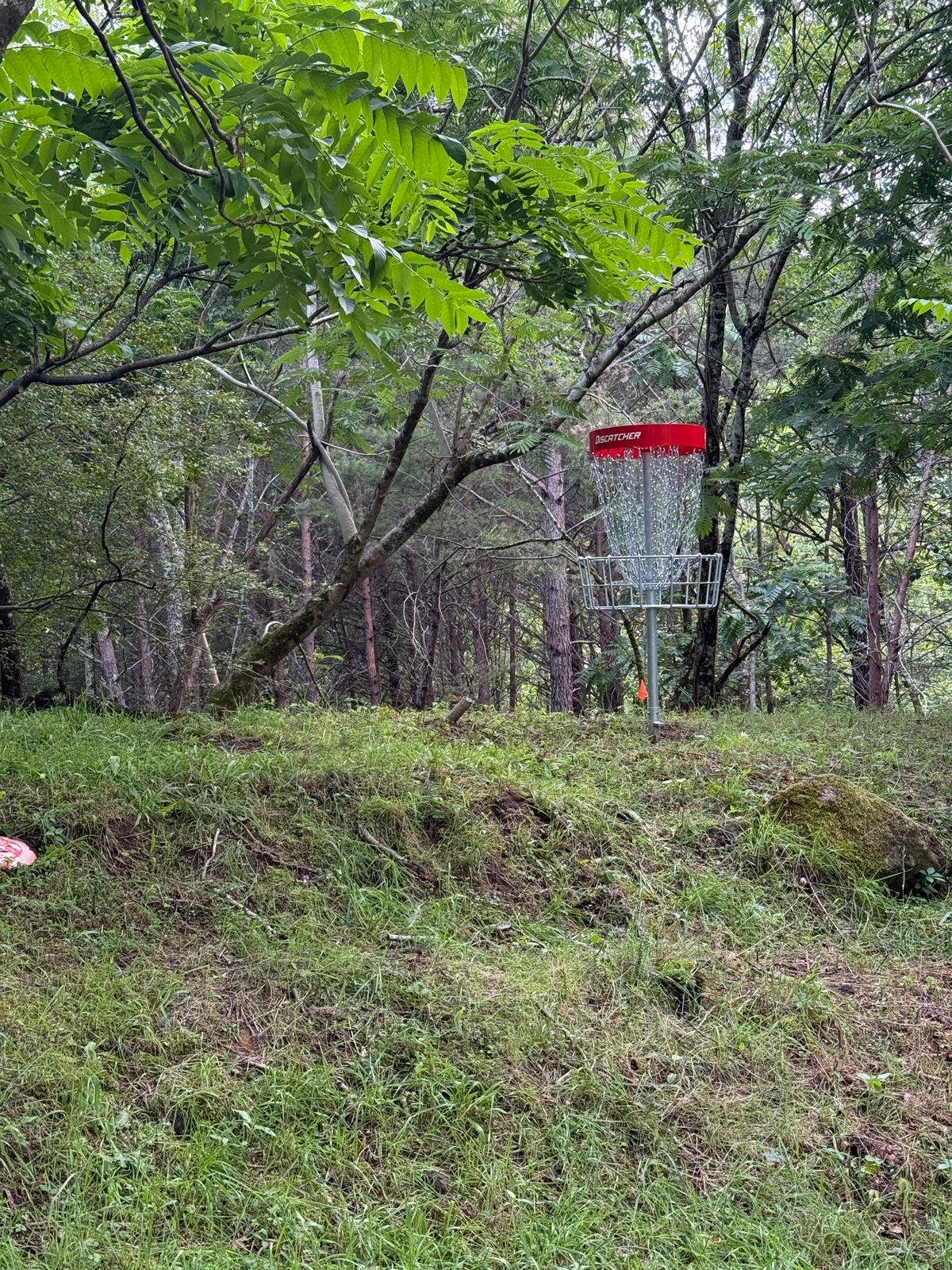 Hole 14 basket on the mount