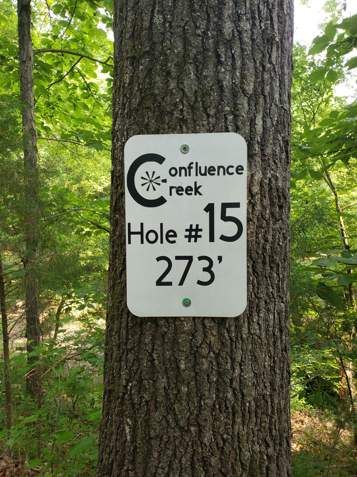 Hole 15 tee sign