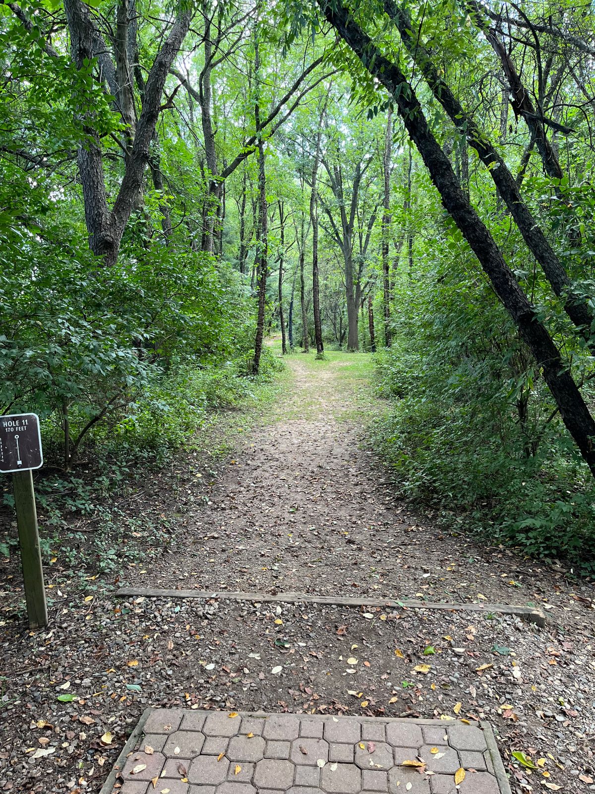 Hole 11