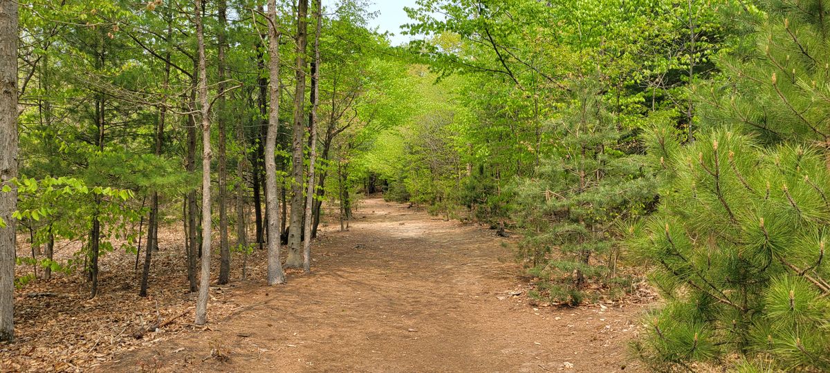 Hole 13 fairway
