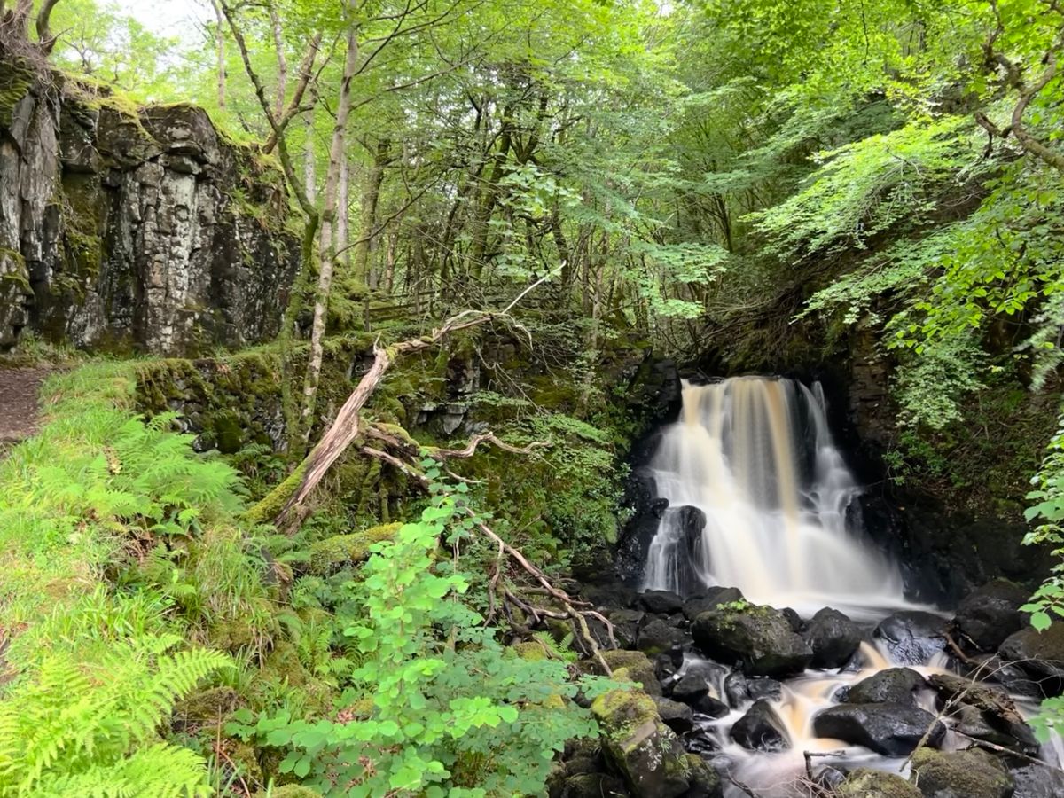 A waterfall near hole 7 (but not too near!)