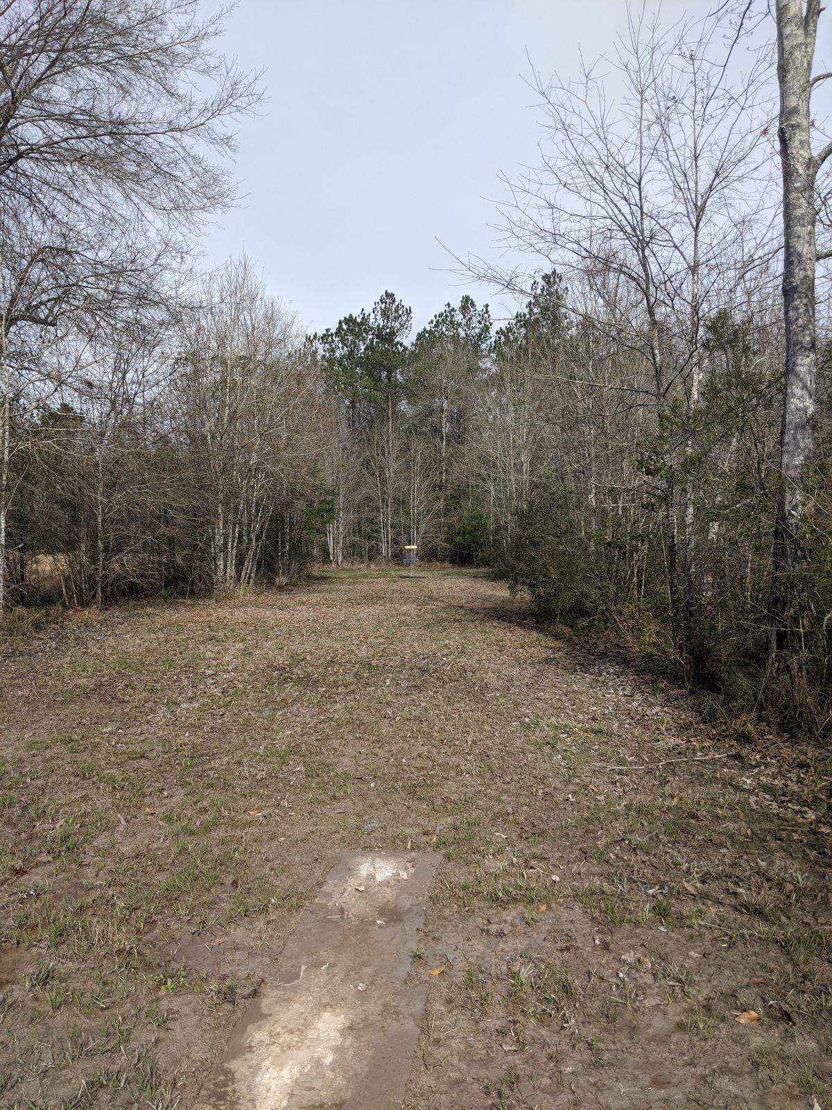 Hole 3 Fairway