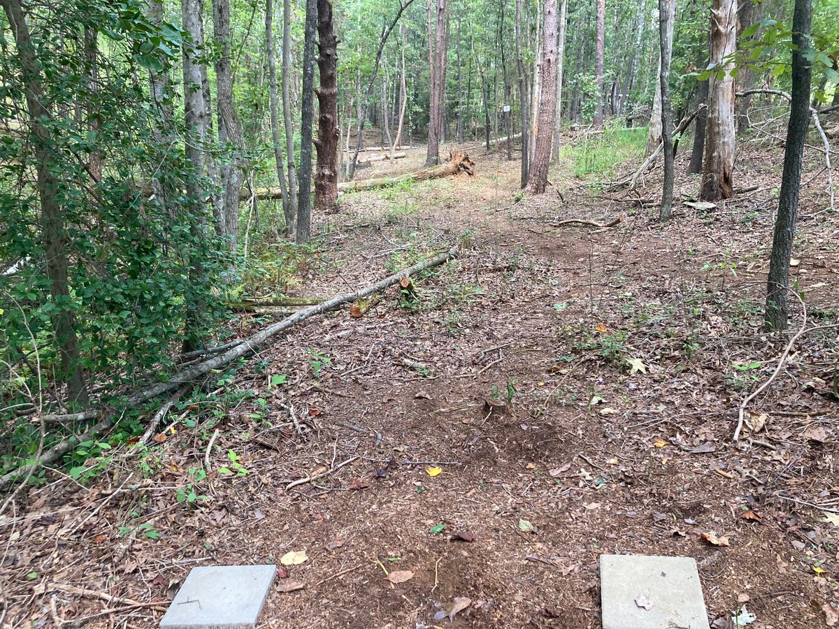 Tee #3: basket on left again (follow the arrow), but not as sharp at #2.