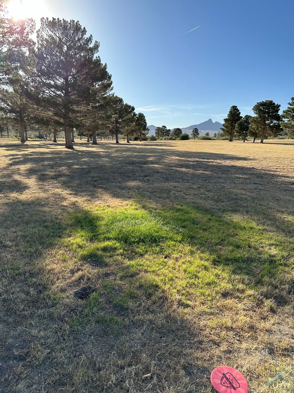 16 fairway