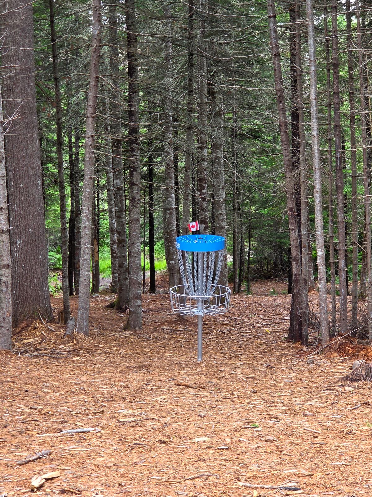 Hole 5 looking down fairway