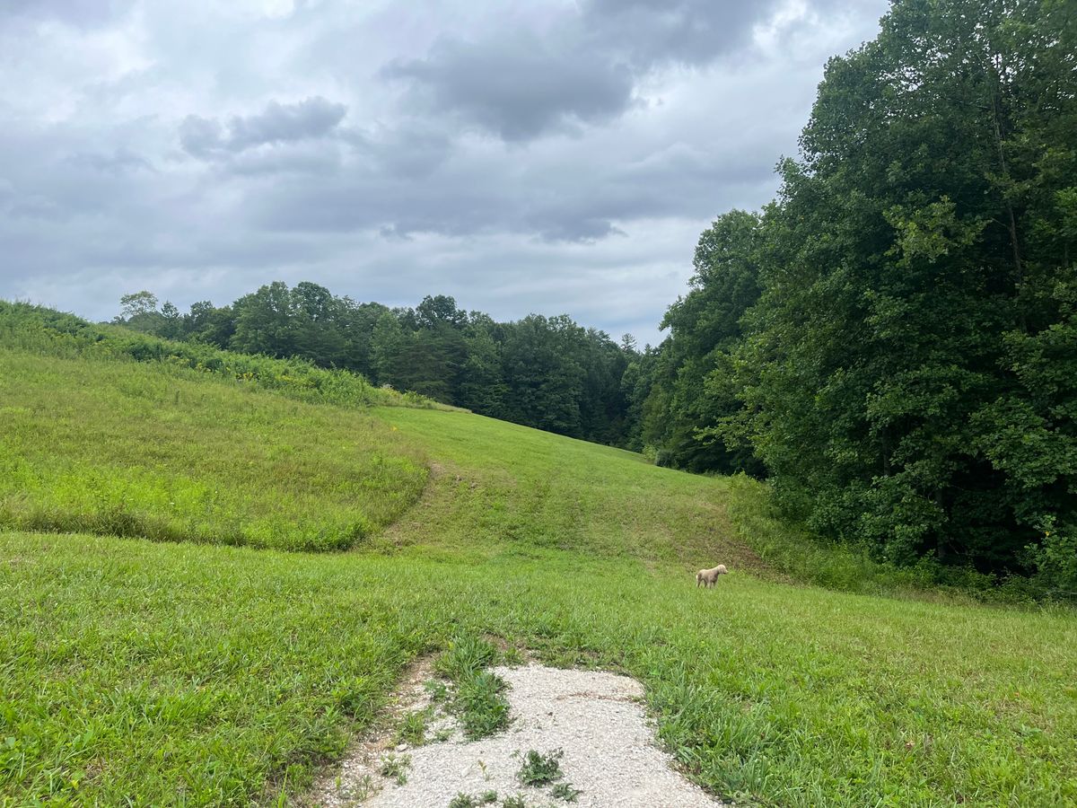 Finishes straight ahead tucked into the woods.  