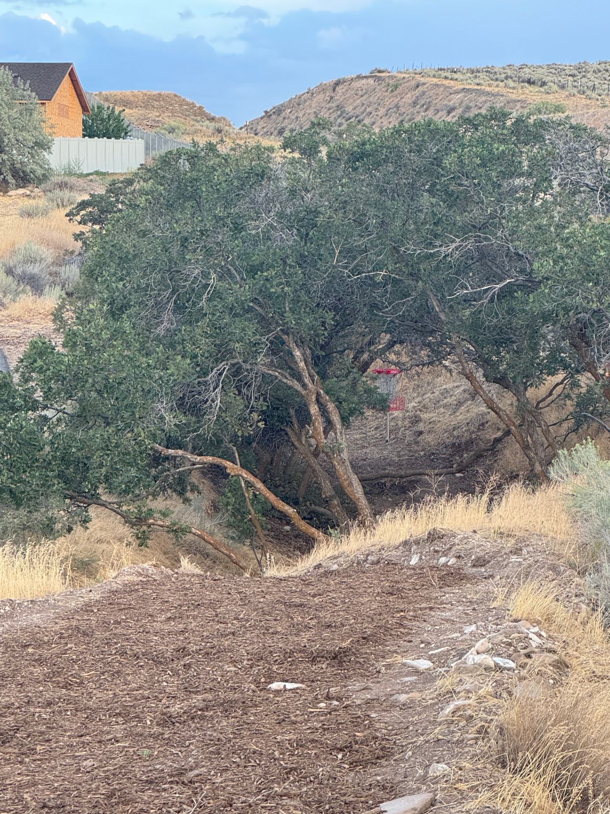 Hole 8 Red