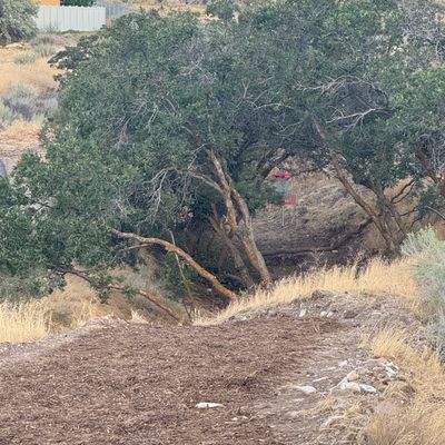 Hole 8 Red