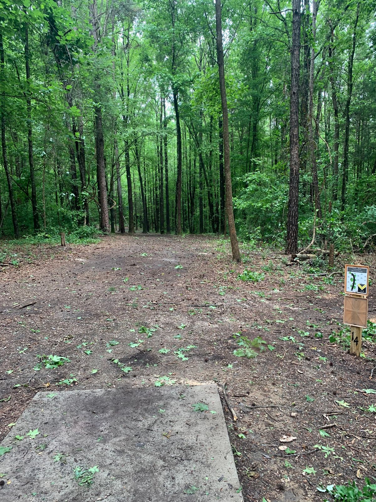 Hole 14