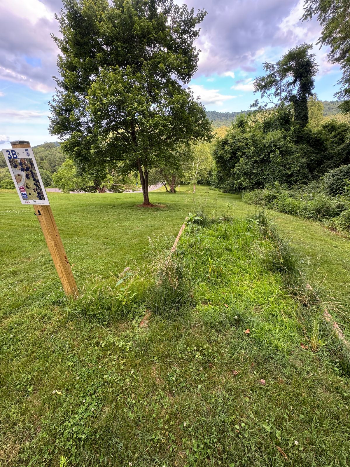 Hole 3 long tee. Needs mowing. As do most of the tee boxes.