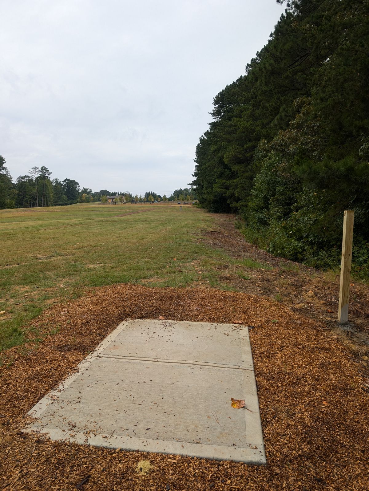 Hole 7