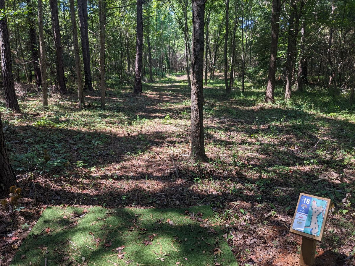 The turf tee pad and sign of Hole 18.
