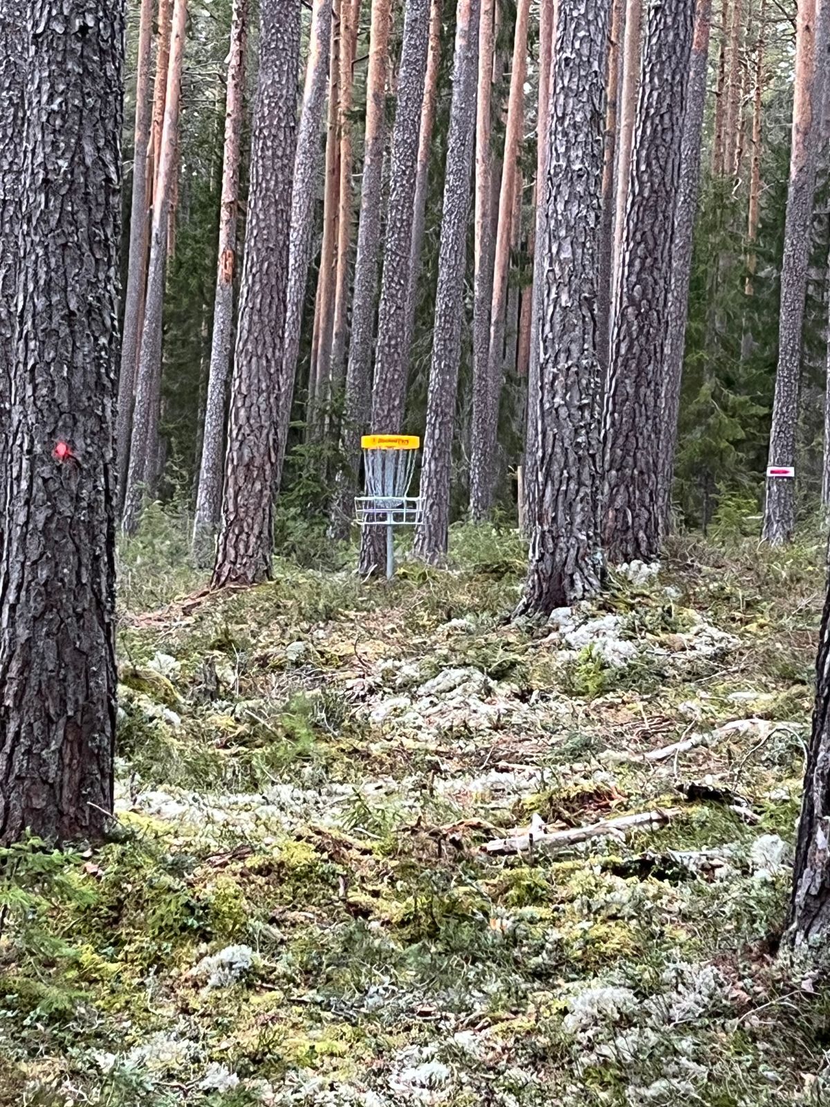 Korg hål 2
