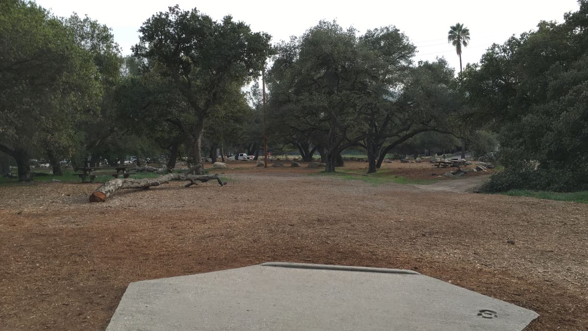 Hole 19