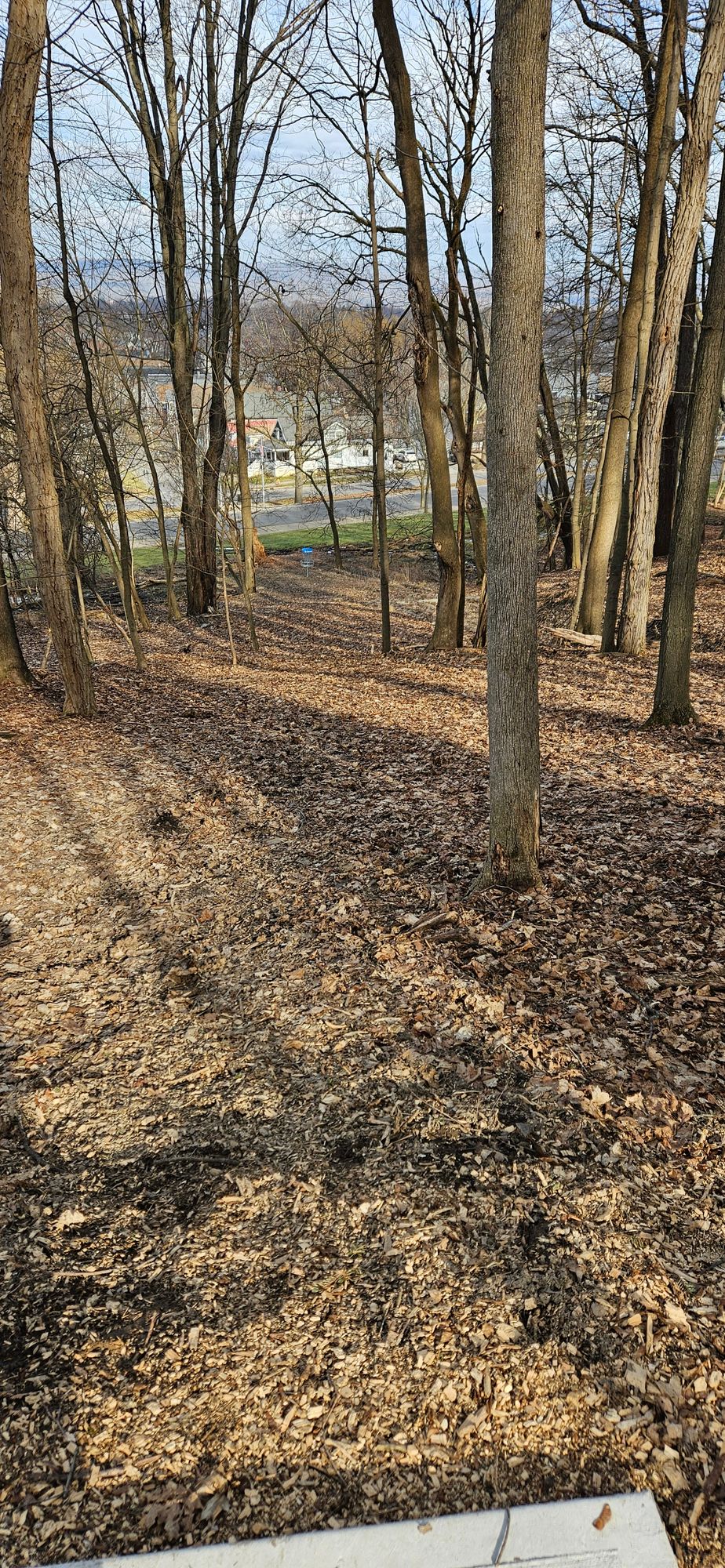 Hole 5