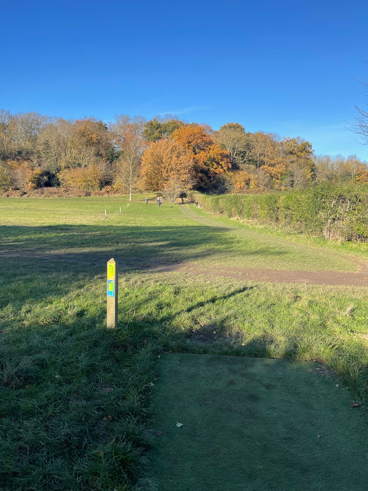 Hole 5 championship