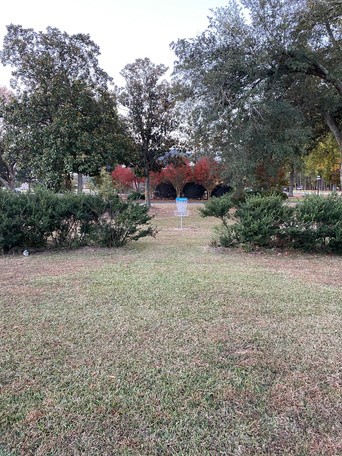 Hole 11