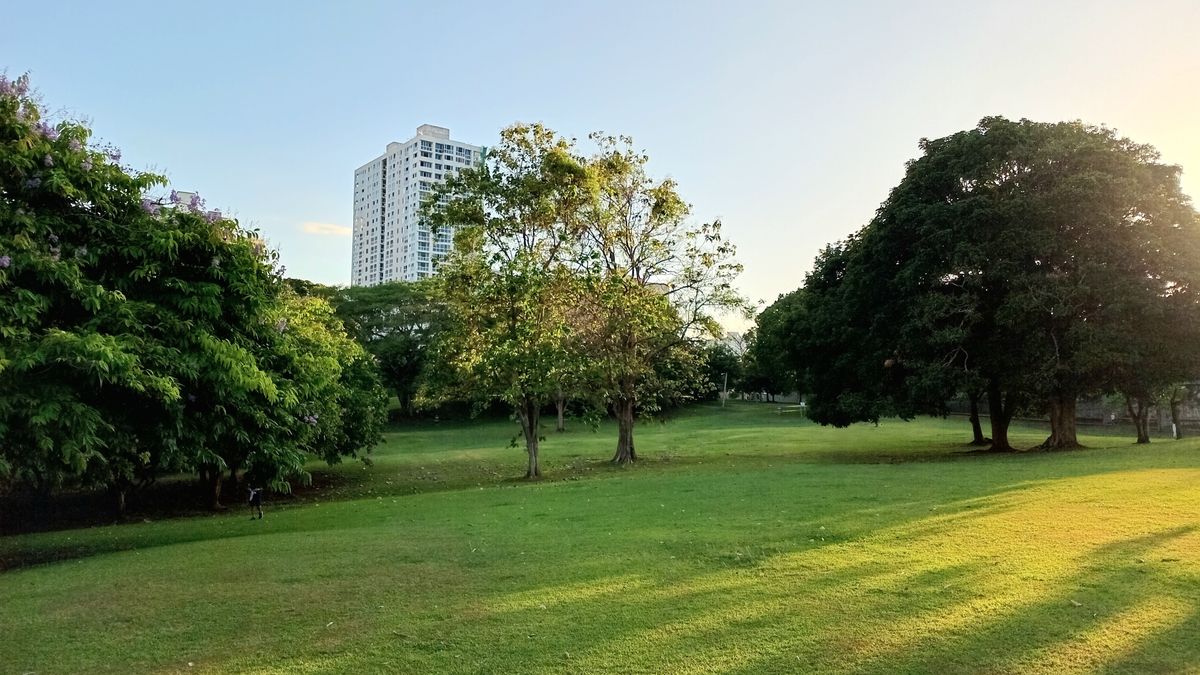Parque Omar DG Course
Hole 12 Tee